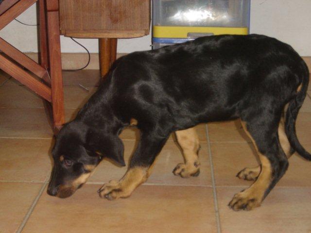 Photo 062